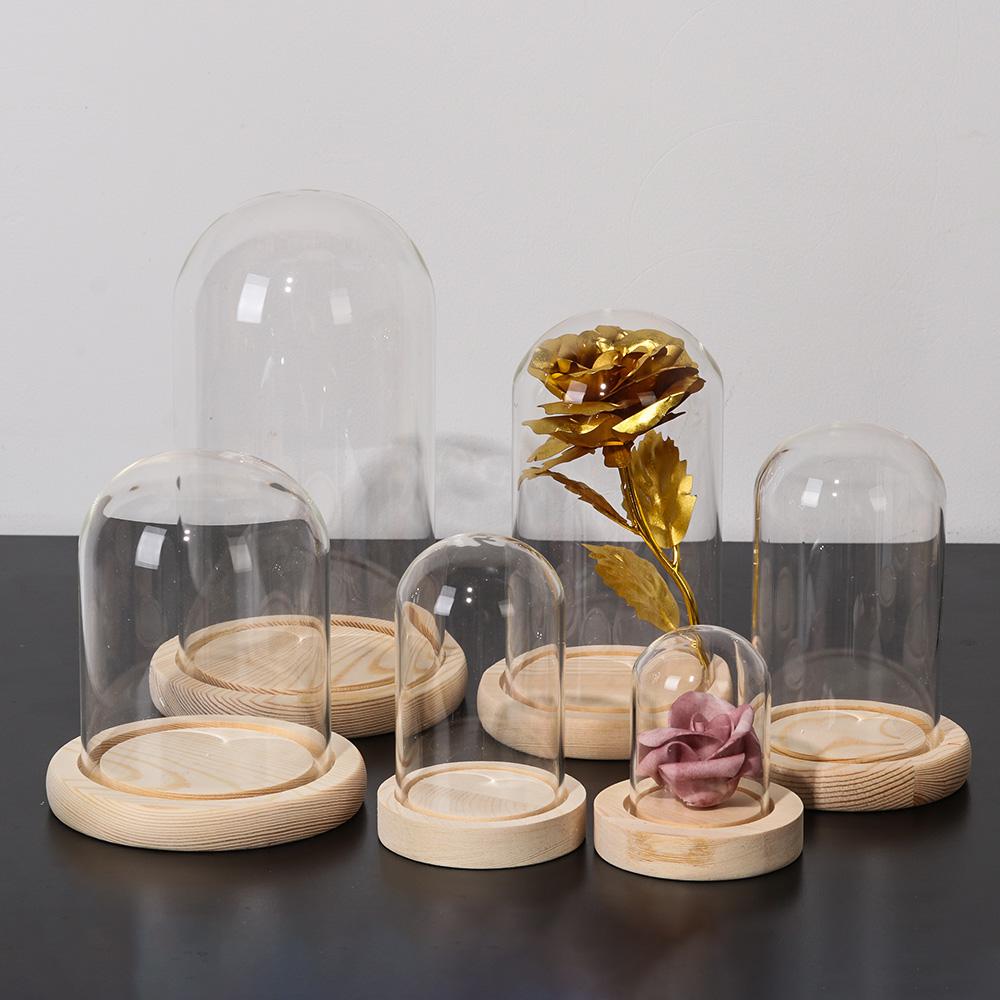 Fairy Lights Plants Transparen - Reusable Bottle ulasan dan harga