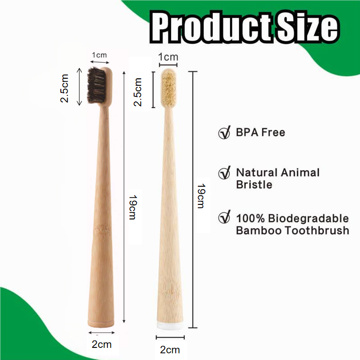 4 Pack Boar Bristle / Horse Br - Bamboo Toothbrush ulasan dan harga
