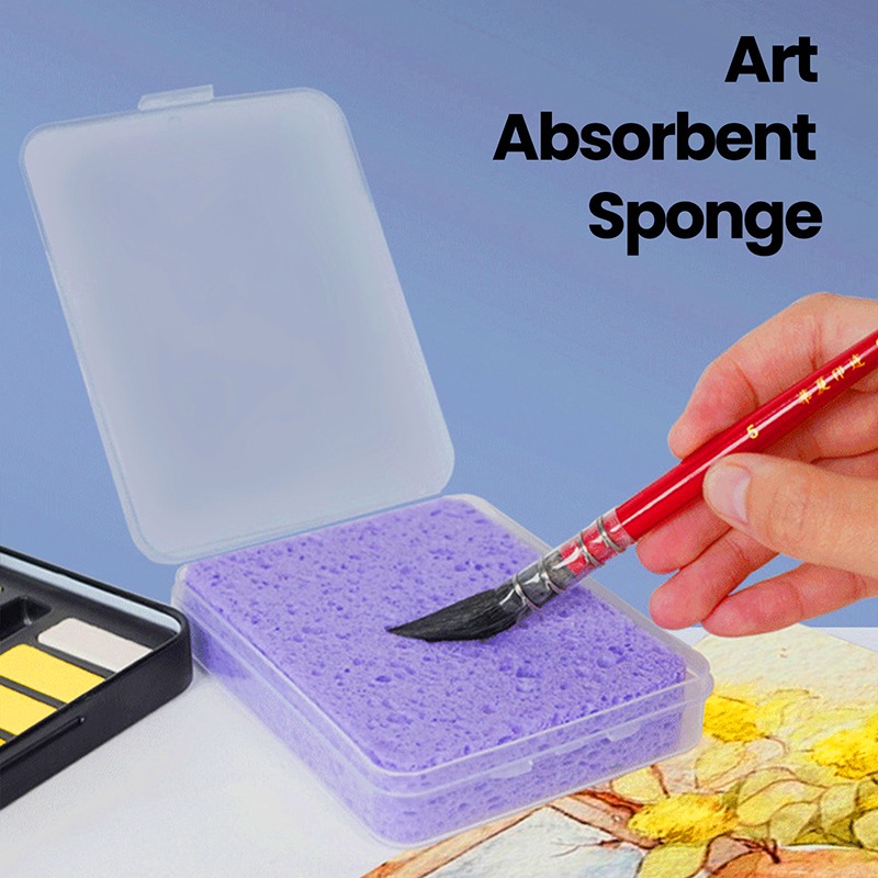 Boxed Watercolor Pigment Paint - Eco Sponge ulasan dan harga