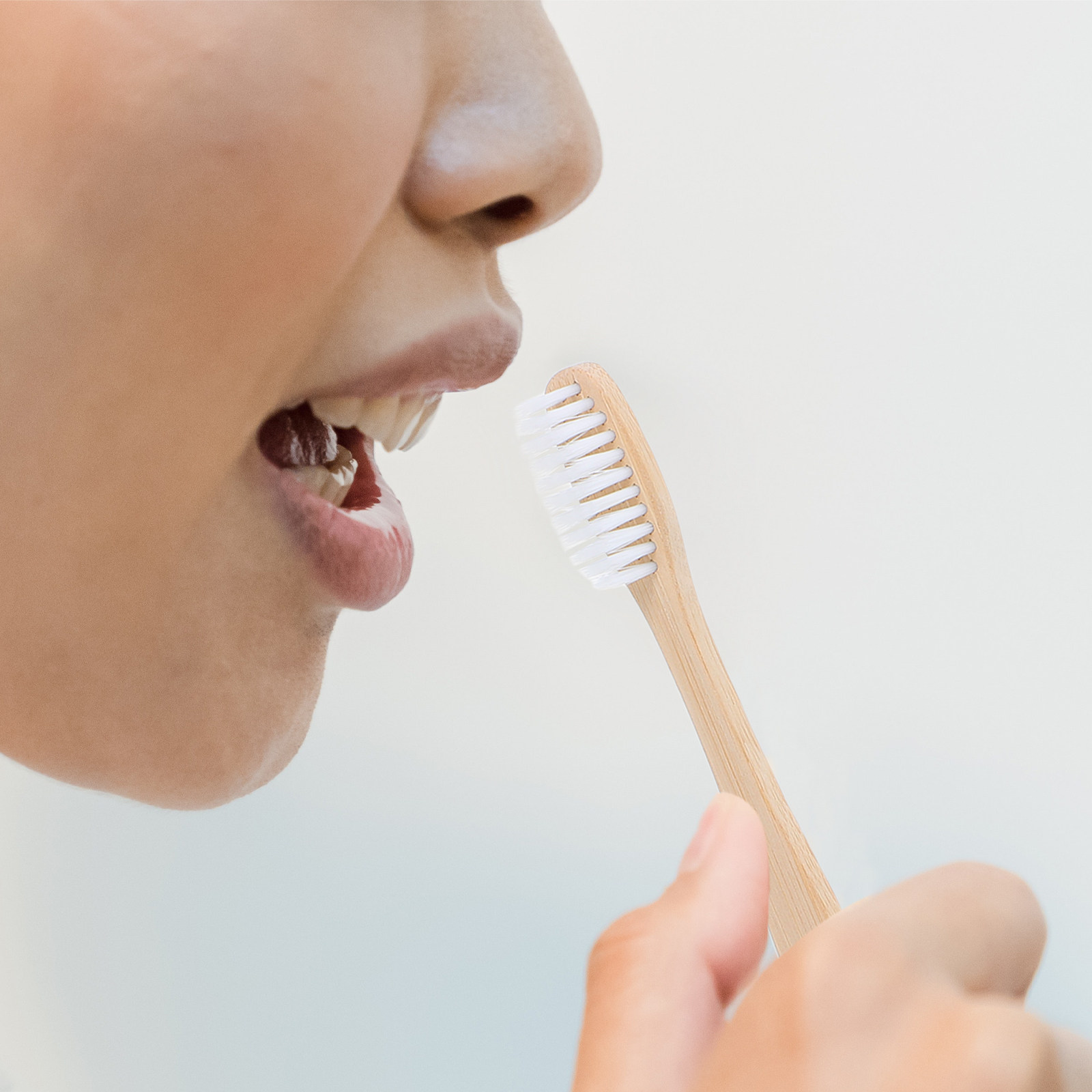 24 pcs Toothbrush Bristles Tra - Bamboo Toothbrush ulasan dan harga