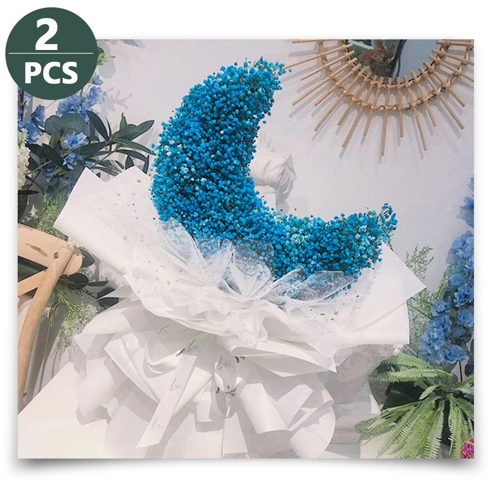 2Pcs Moon Shaped Eco Friendly  - Eco Sponge ulasan dan harga