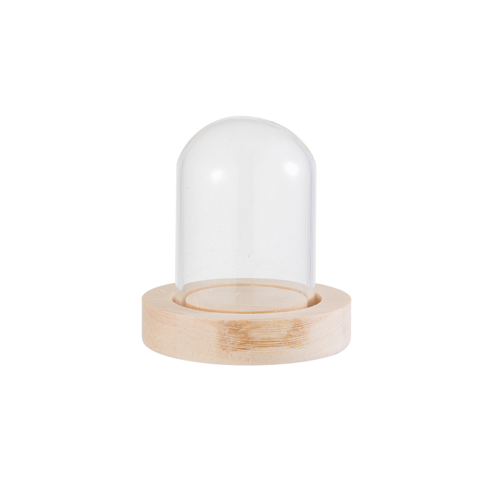 Fairy Lights Home Decor Terrar - Reusable Bottle ulasan dan harga